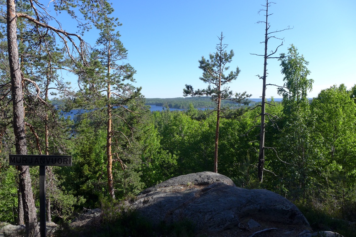 Harjulta otettu maisemakuva, jossa näkyy puita ja puiden takana vettä.