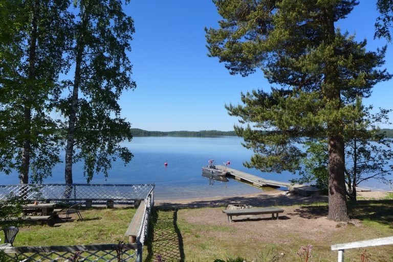 Järven hiekkaranta, jossa kasvaa puita.