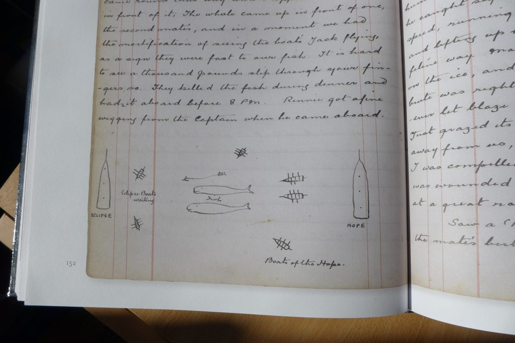 Dangerous Work, s. 152: Päiväkirjamerkinnässään torstailta 17.6.1880 Conan Doyle kuvailee jännittävää valaanpyyntitilannetta, jossa Hopen miehistö menetti kaksi valasta kilpailevalle alukselle.